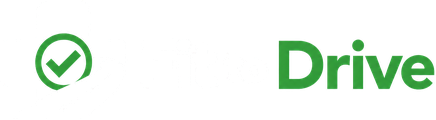 Fit to Drive